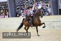 23R13_06115 thumbnail