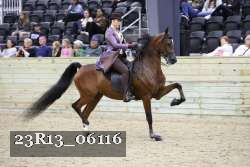 23R13_06116 thumbnail