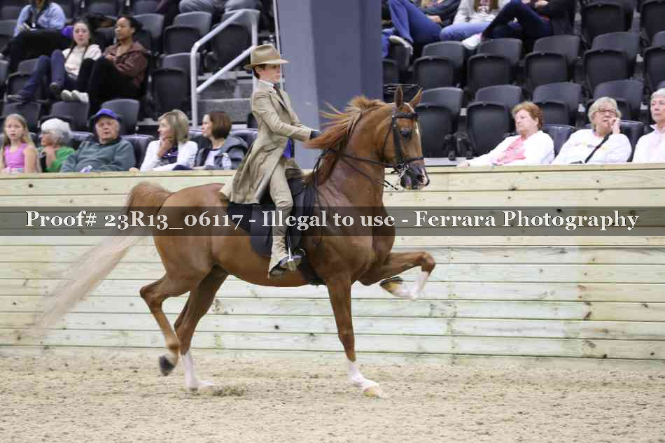 Proof Number 23R13_06117