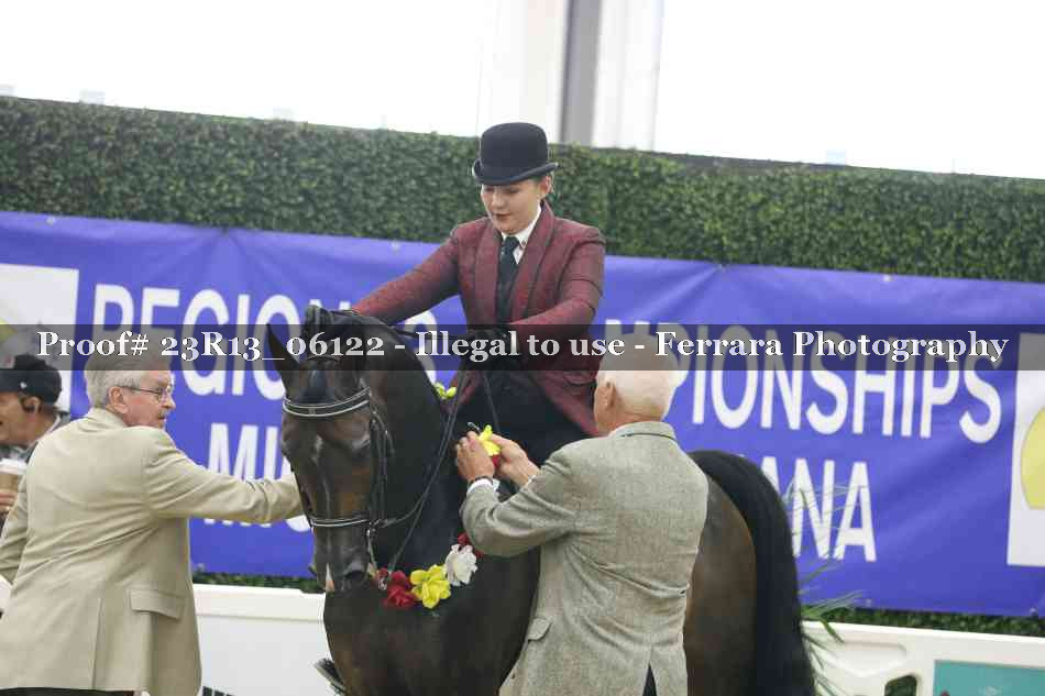 Proof Number 23R13_06122