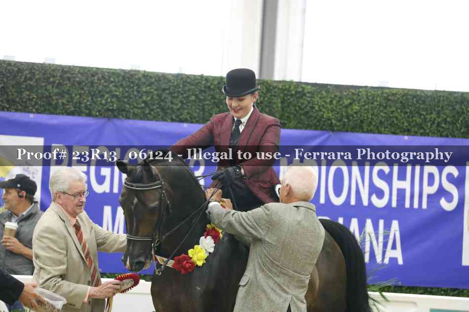 Proof Number 23R13_06124