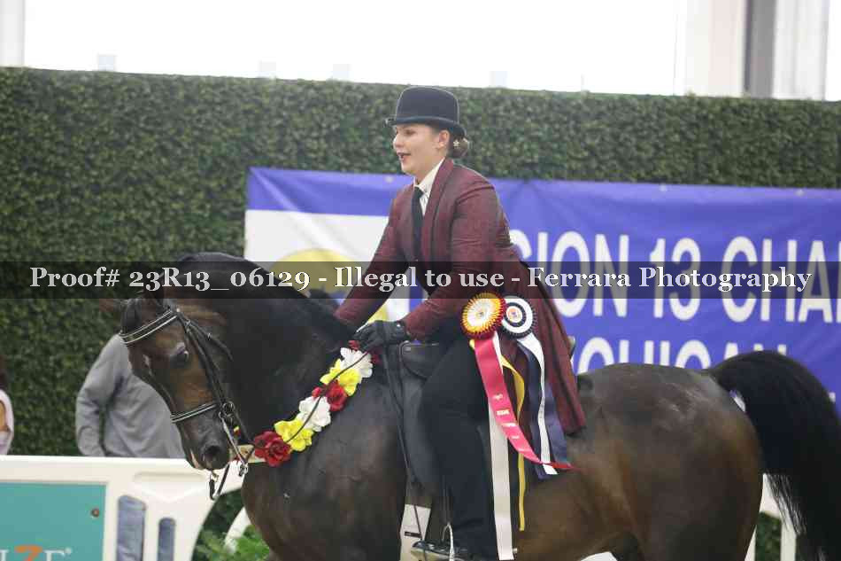 Proof Number 23R13_06129