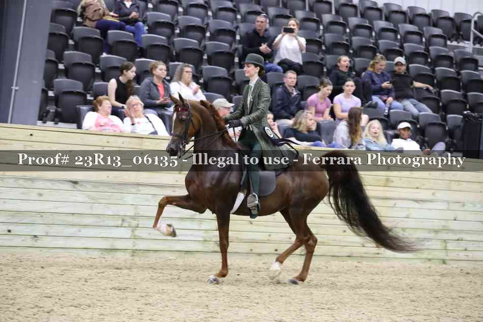 Proof Number 23R13_06135