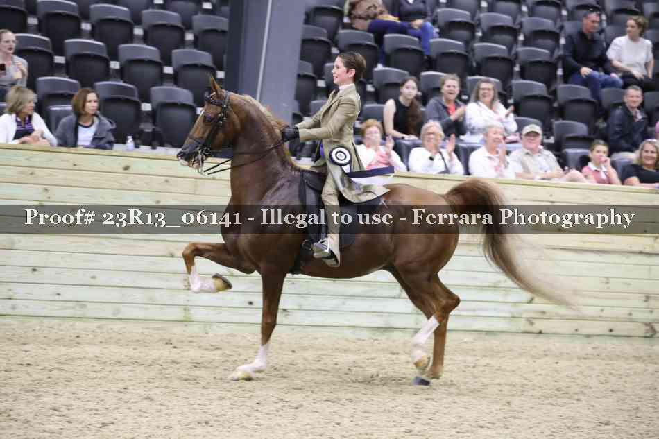 Proof Number 23R13_06141