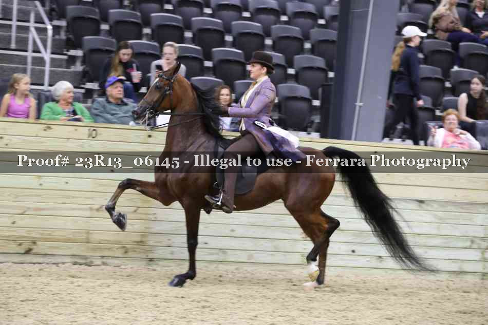 Proof Number 23R13_06145
