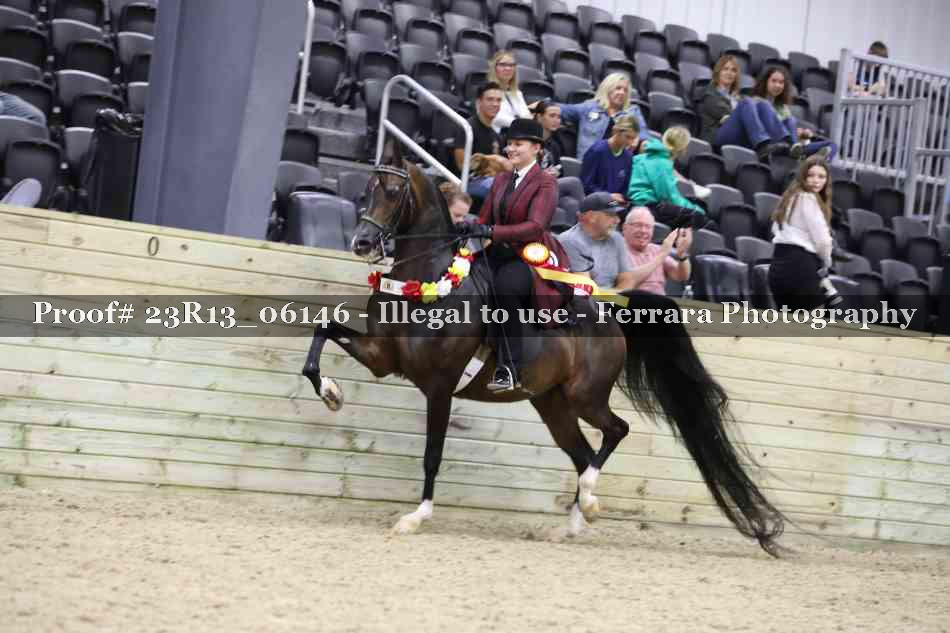 Proof Number 23R13_06146