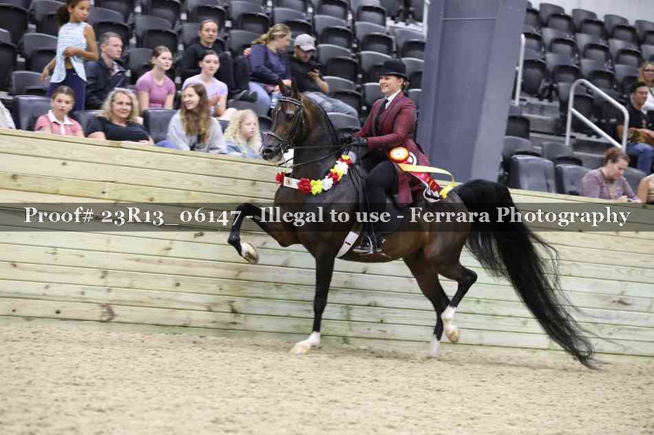 Proof Number 23R13_06147
