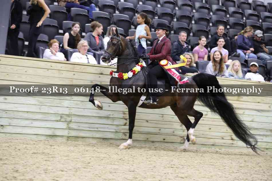 Proof Number 23R13_06148