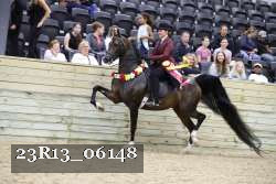 23R13_06148 thumbnail