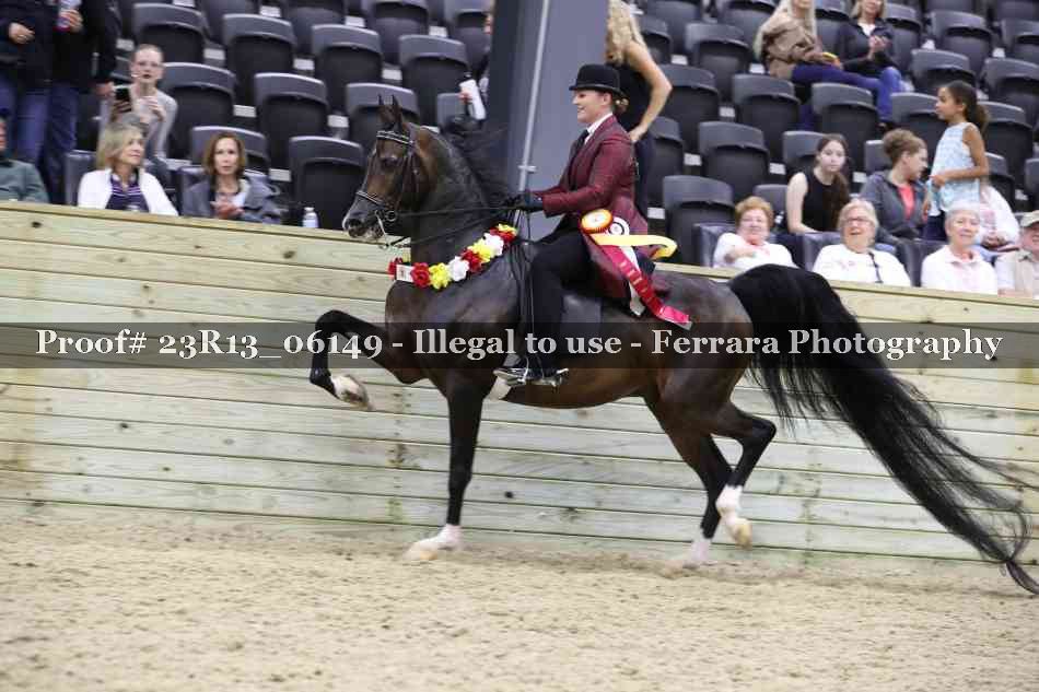 Proof Number 23R13_06149