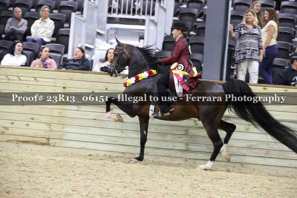 Proof Number 23R13_06151