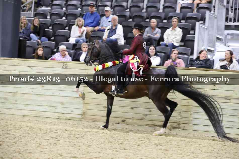 Proof Number 23R13_06152