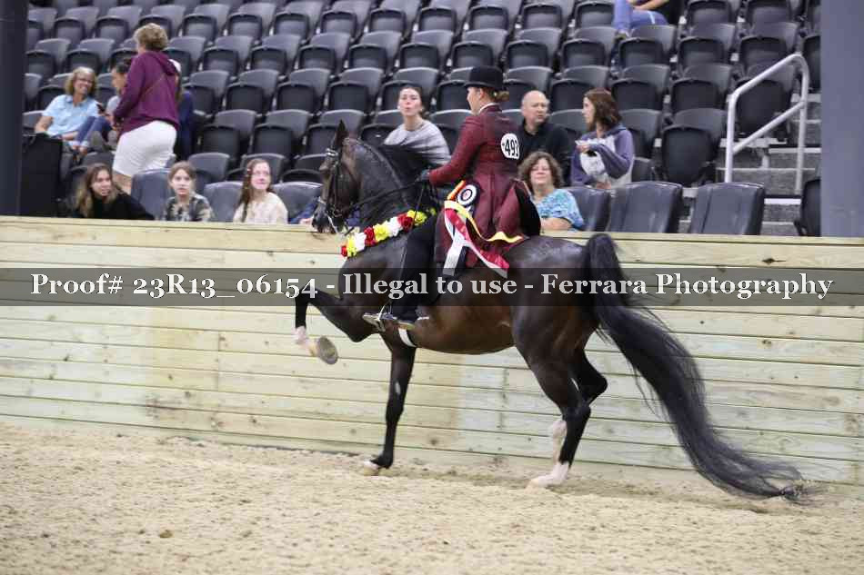Proof Number 23R13_06154