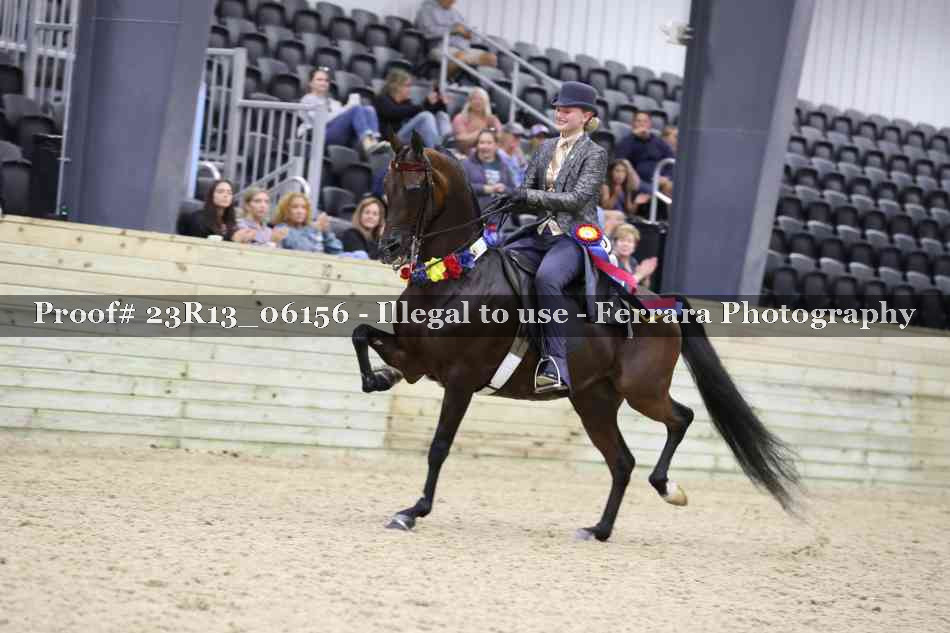 Proof Number 23R13_06156