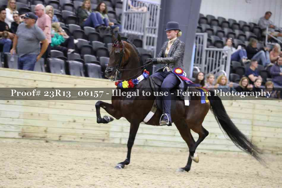 Proof Number 23R13_06157