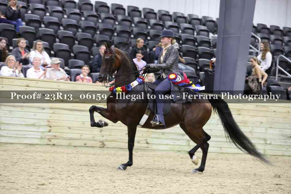 Proof Number 23R13_06159