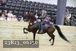 23R13_06159 thumbnail