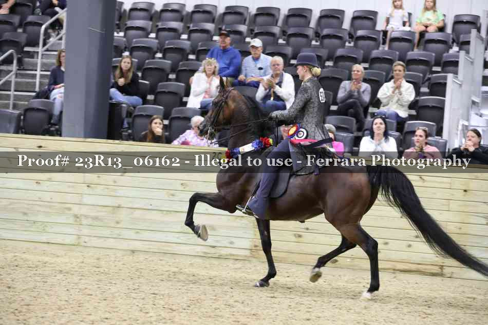 Proof Number 23R13_06162