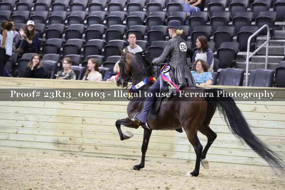 Proof Number 23R13_06163