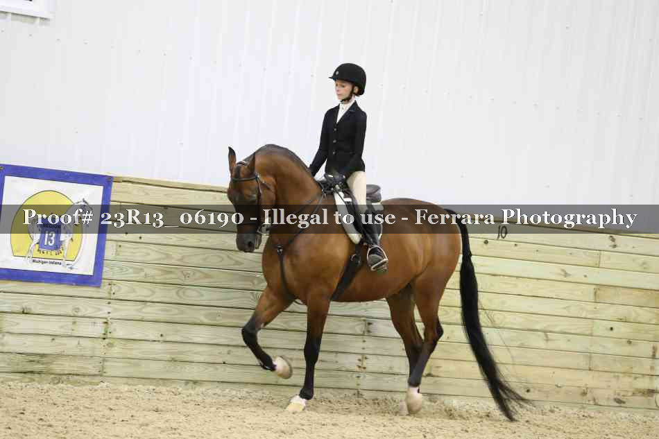 Proof Number 23R13_06190