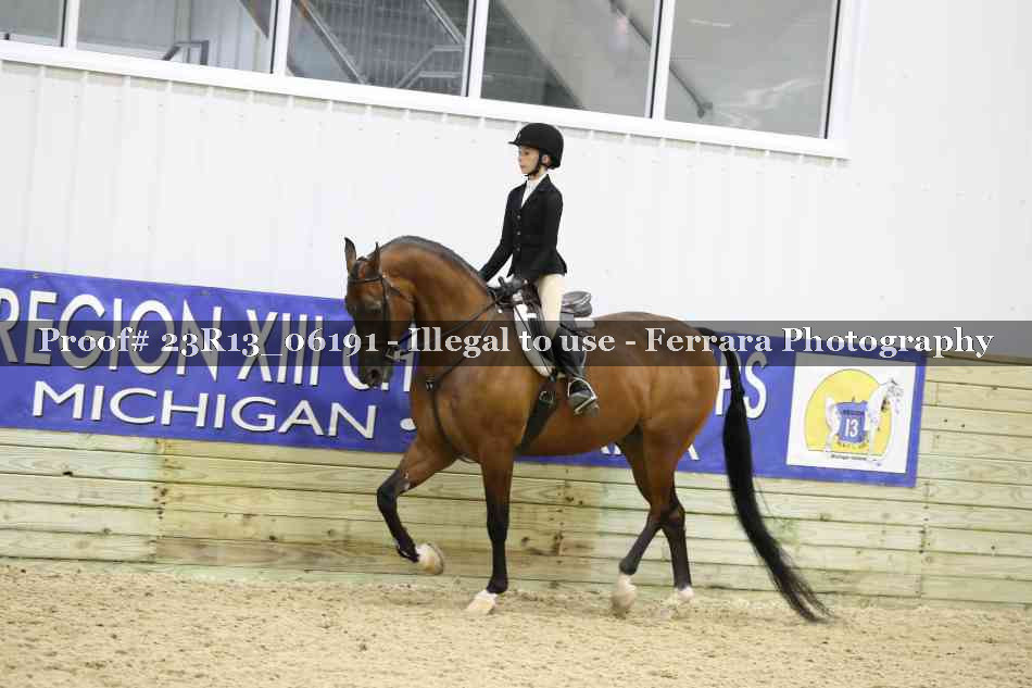 Proof Number 23R13_06191