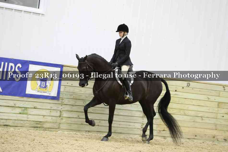 Proof Number 23R13_06193
