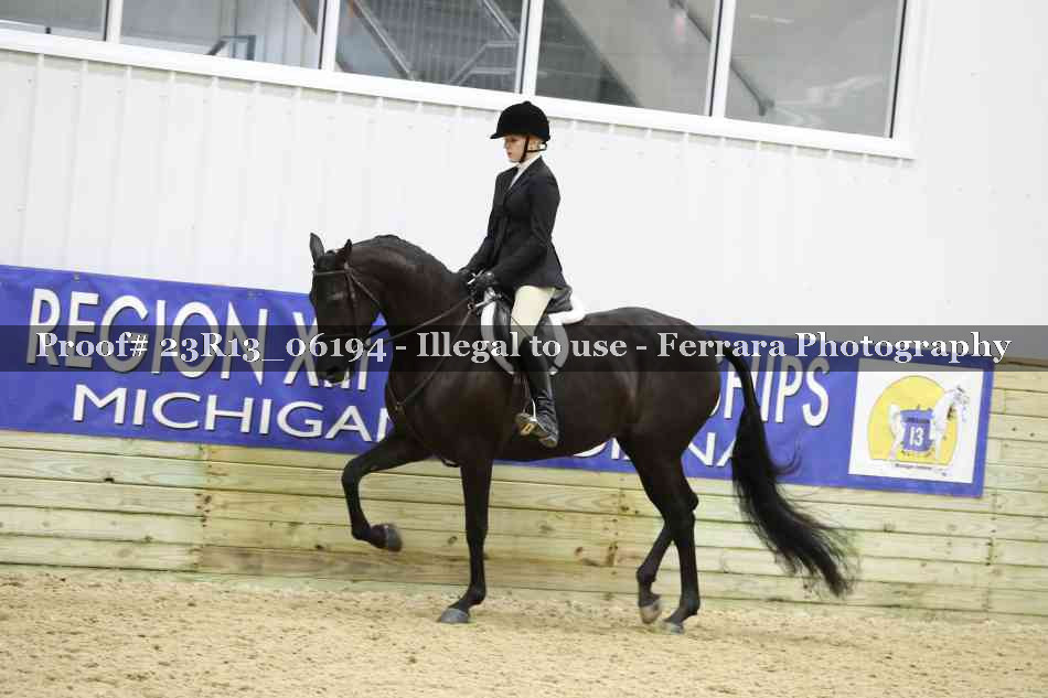 Proof Number 23R13_06194