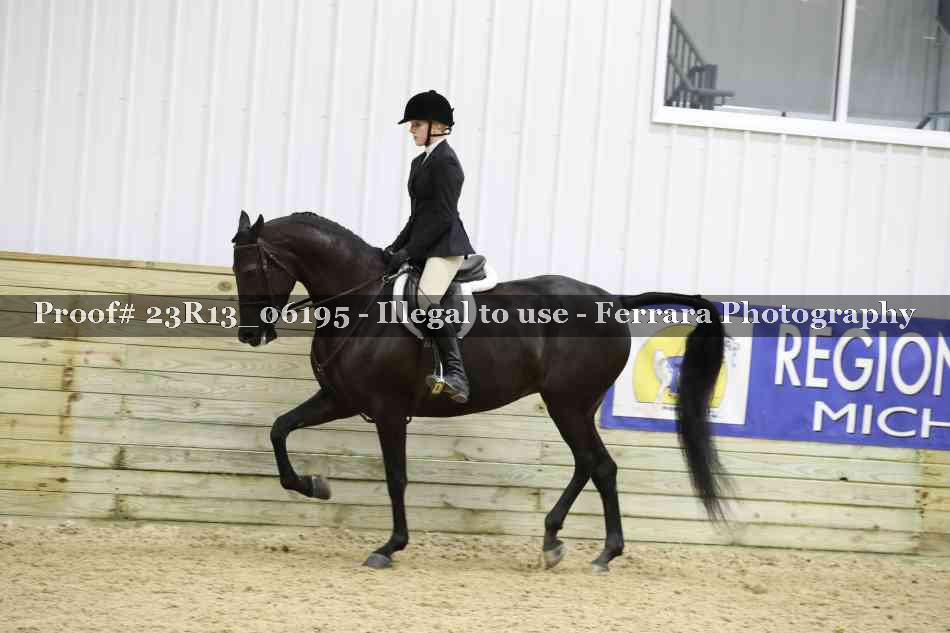 Proof Number 23R13_06195