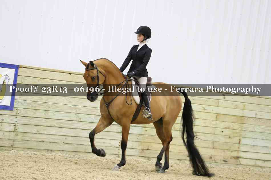 Proof Number 23R13_06196