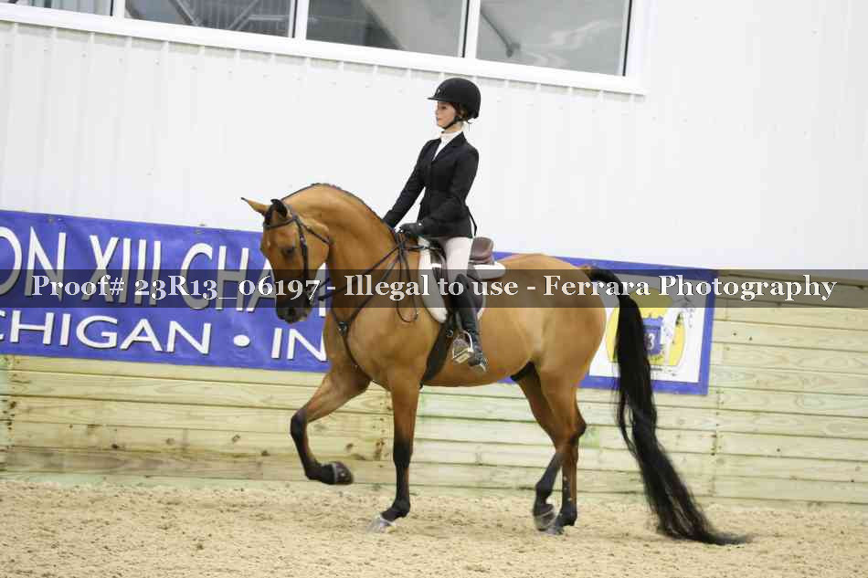 Proof Number 23R13_06197