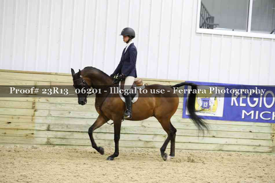 Proof Number 23R13_06201