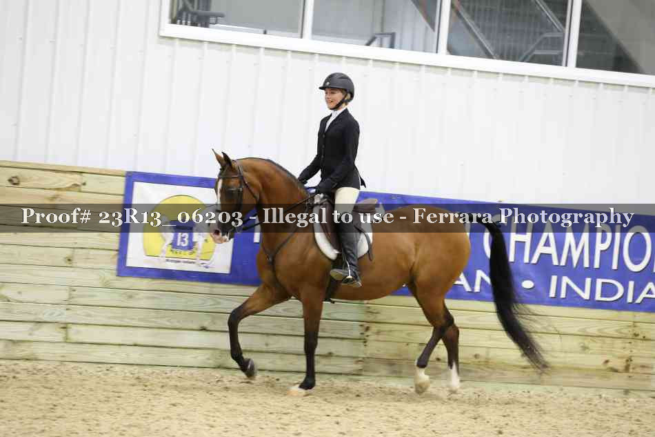 Proof Number 23R13_06203