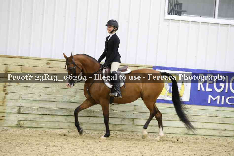 Proof Number 23R13_06204