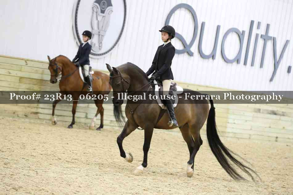 Proof Number 23R13_06205