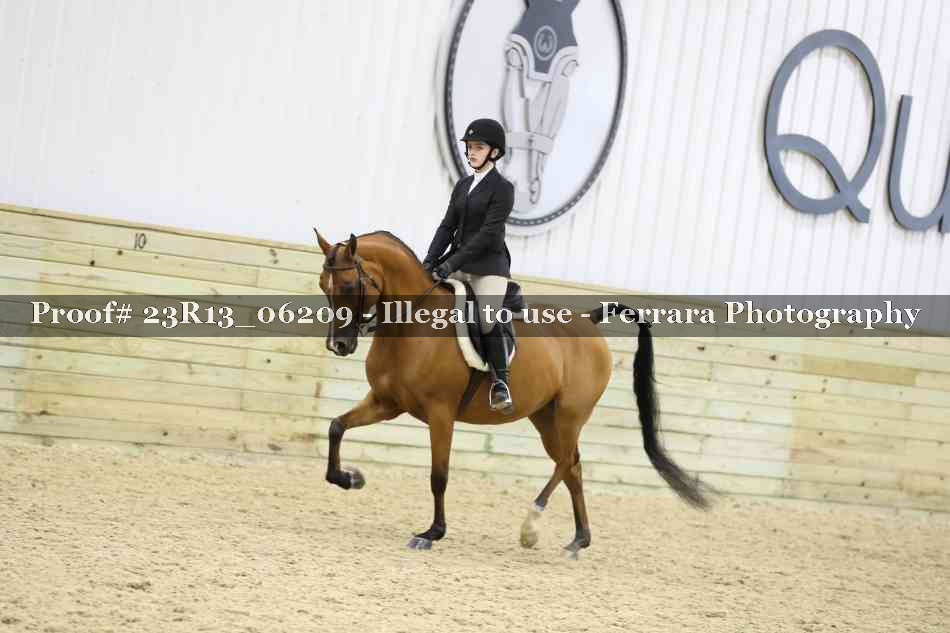 Proof Number 23R13_06209
