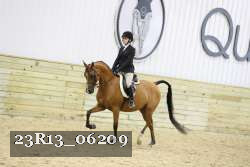 23R13_06209 thumbnail