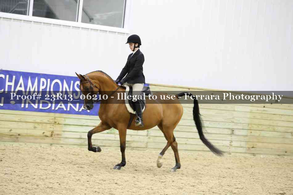 Proof Number 23R13_06210