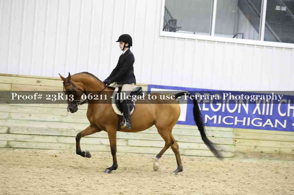 Proof Number 23R13_06211