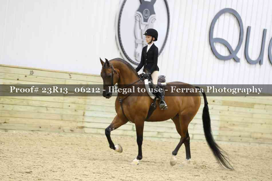 Proof Number 23R13_06212