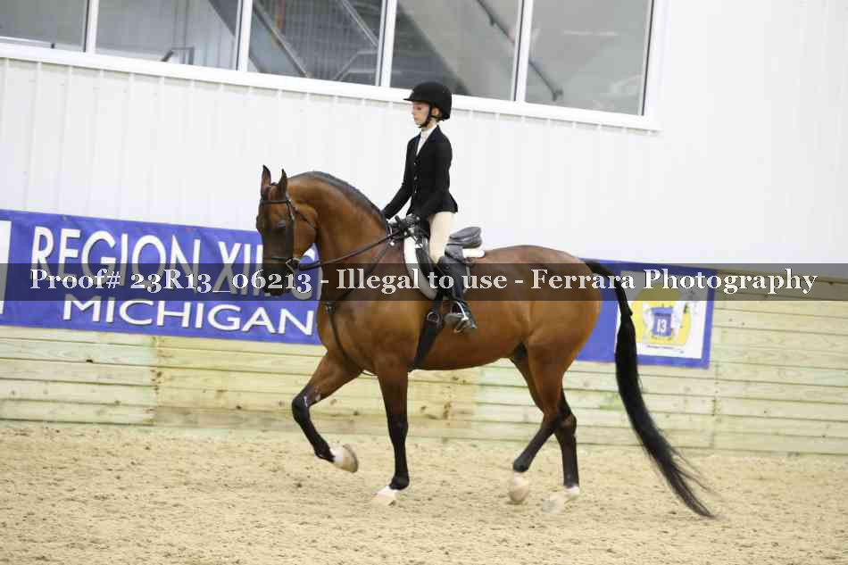 Proof Number 23R13_06213