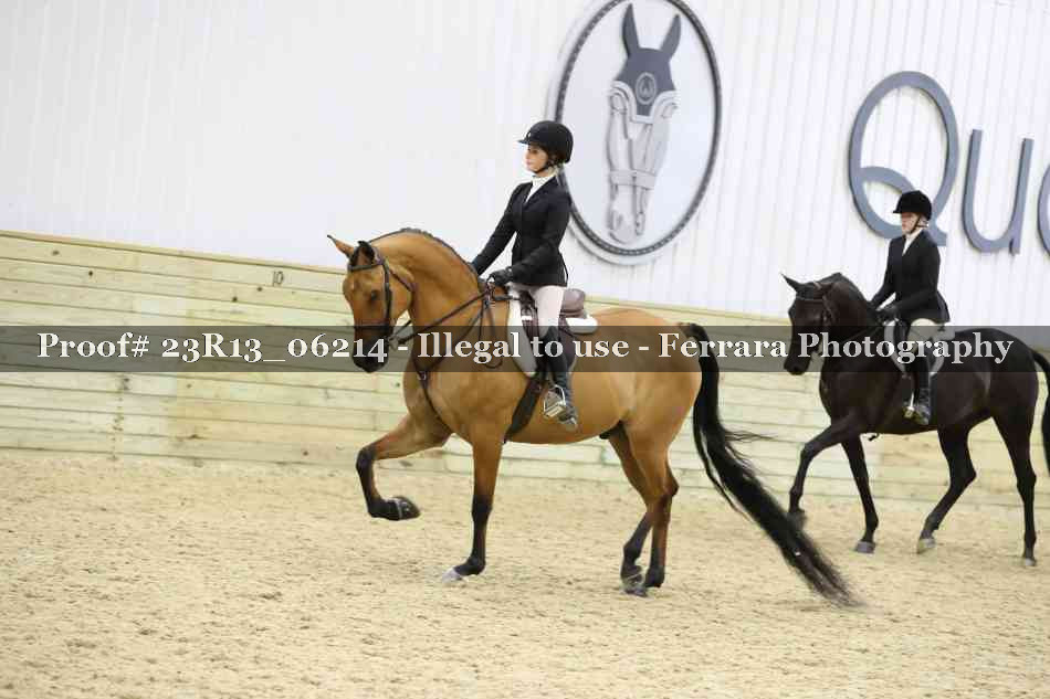 Proof Number 23R13_06214