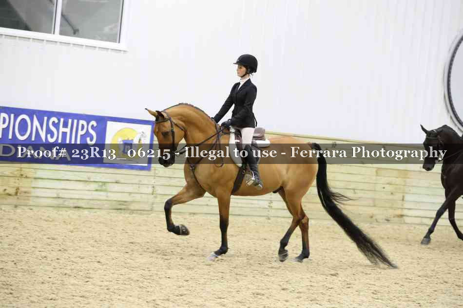 Proof Number 23R13_06215