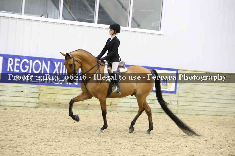 Proof Number 23R13_06216