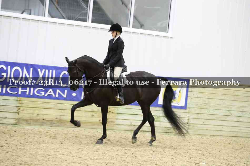 Proof Number 23R13_06217