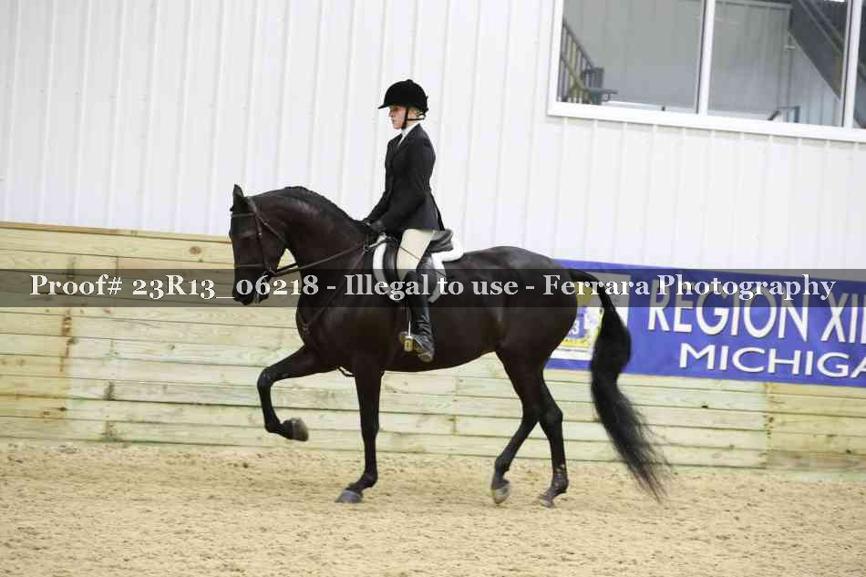 Proof Number 23R13_06218