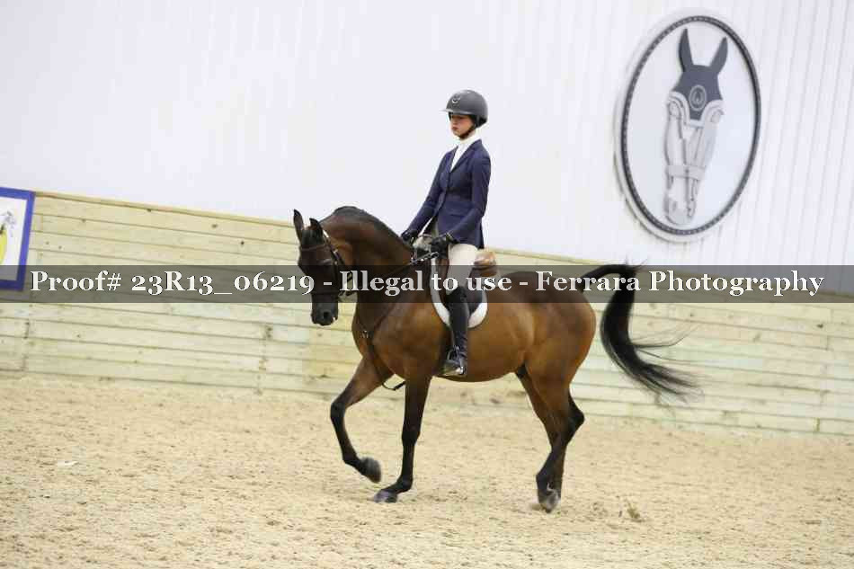 Proof Number 23R13_06219