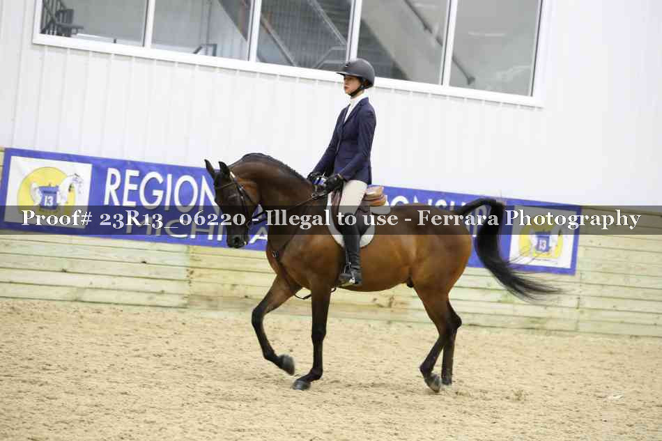 Proof Number 23R13_06220