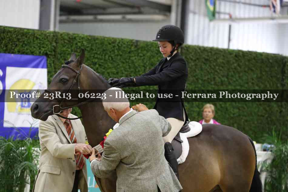 Proof Number 23R13_06223