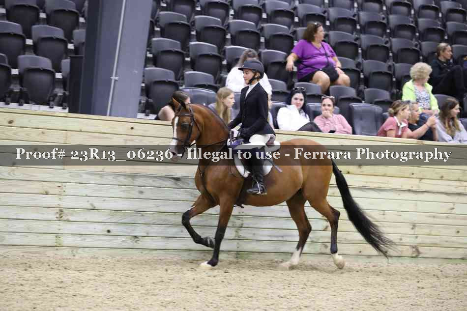 Proof Number 23R13_06236