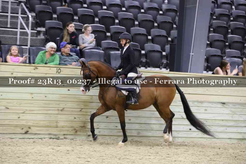 Proof Number 23R13_06237